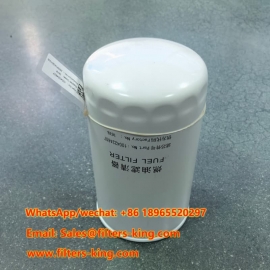 1004224607 Fuel Filter