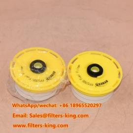 Fuel Filter FF5765