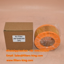 Air Filter AF25530