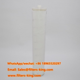 CSPHEW1-24BXH  Coalescent Filter Cartridge