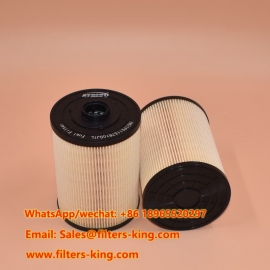 YN21P01157R100J1L Fuel Filter