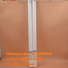 RT40B16G20CA PP Sediment Filter