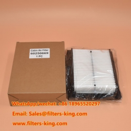 60250669 Cabin Air Filter
