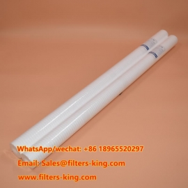 RT40Y16G20CA PP Sediment Filter