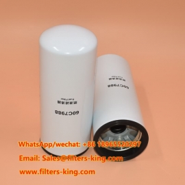 60C7988 Fuel Filter