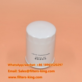 1001740613 Oil Filter