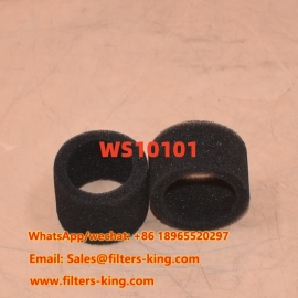 Hydraulic Filter WS10101