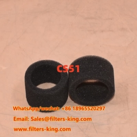 CS51 Hydraulic Filter