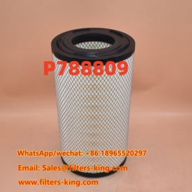 P788809 Air Filter