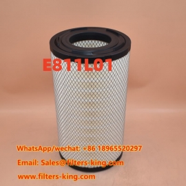 E811L01 Air Filter
