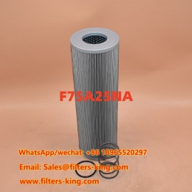 Hydraulic Filter F75A25NA