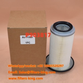 Air Filter P903817