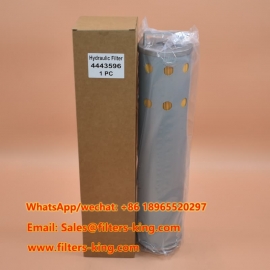 4443596 Hydraulic Filter